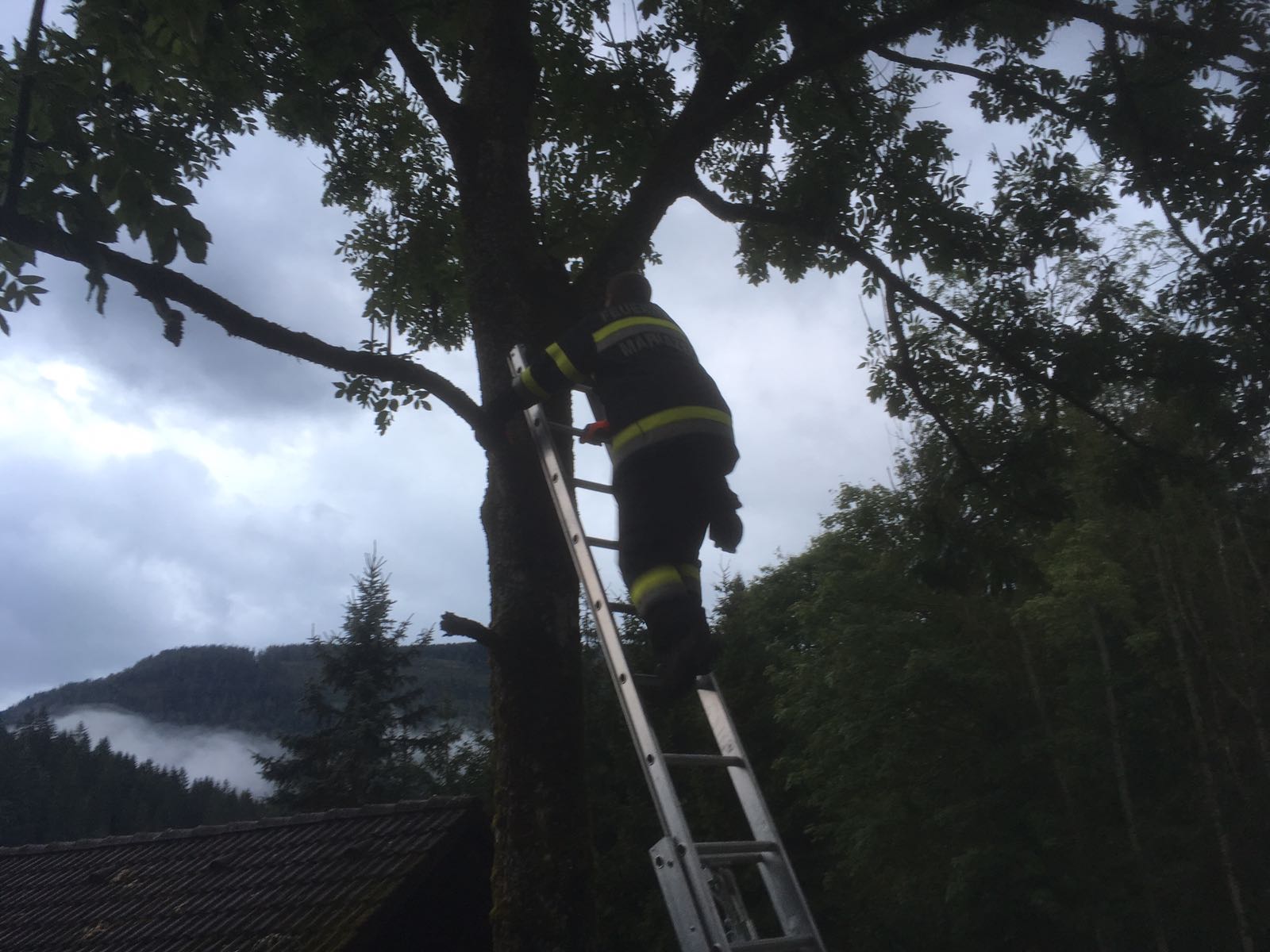 Tierrettung Freiwillige Feuerwehr Mariazell