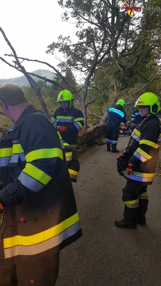 Mehrere Einsatzkräfte bei der Arbeit